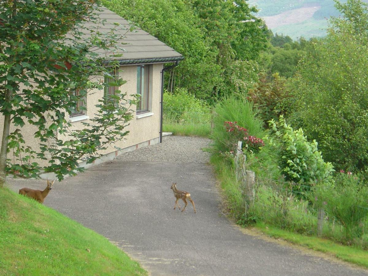 Achmony Holidays Villa Drumnadrochit Eksteriør billede